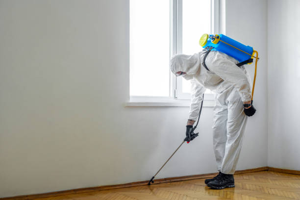 Best Residential Pest Control  in Lamont, MI